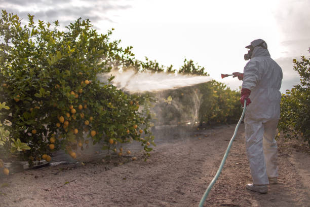 Best Best Pest Control Companies  in Stuart, VA