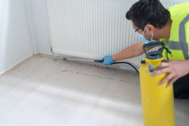 Best Termite Control Services  in Stuart, VA