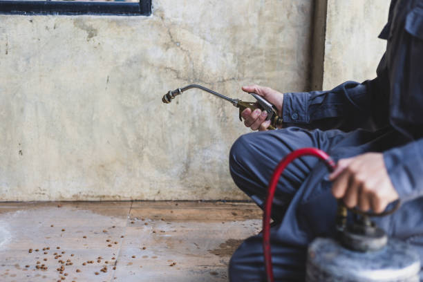 Best Mosquito Control Services  in Stuart, VA